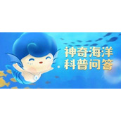 《神奇海洋》今日答案6月11日全新