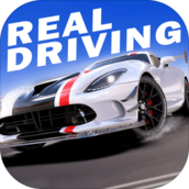 真实公路汽车2破解版v1.0