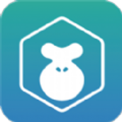 欢乐驾驶员v1.0
