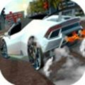 真实极限赛车v1.0