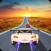 拉力赛狂怒v1.0