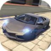 真实公路驾驶v1.0