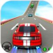 肌肉车特技表演v1.0