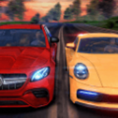 RealDriv1.0