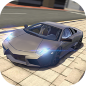 赛车驾驶模拟v1.0