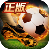 绿茵奇迹破解版v1.0