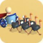 鸵鸟淘汰赛v1.0