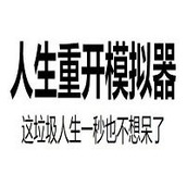 人生重开模拟器轮回之外版