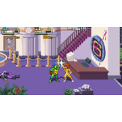 《忍者神龟施莱德的复仇》中文设置教程