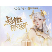 《王者荣耀》FMVP皮肤签名获取策略