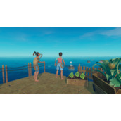 《raft》怎么联机