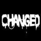 changed喵鲨