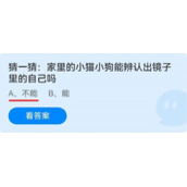 《蚂蚁庄园》猜一猜：家里的小猫小狗能辨认出镜子里的自己吗 6月25日