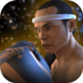 泰拳2格斗冲突手游