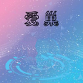 爱巢2.6无心版手游
