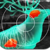 我的枪贼准手游