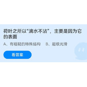 《蚂蚁庄园》荷叶之所以“滴水不沾”，主要是因为它的表面 7月2日