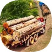 牵引卡车驾驶模拟器手游