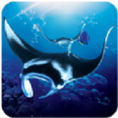 蝠鲼模拟器手游