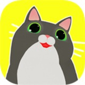 快点给我猫手游