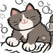 猫咪洗衣店手游