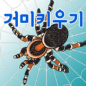 养蜘蛛手游