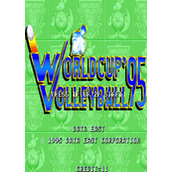 世界杯排球95(World Cup Volley '95)街机版(含模拟器)