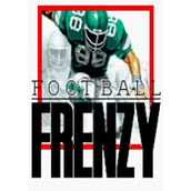疯狂橄榄球(Football Frenzy)街机版(含模拟器)