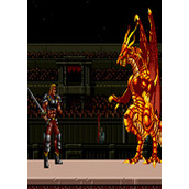 幻想激斗(Fighting Fantasy)街机日版(含模拟器)