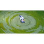 《金铲铲之战》小小英雄佐伊多少钱