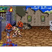 邪城风云Tecmo骑士硬盘版(含模拟器)