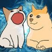 波波猫VS柴犬手游
