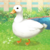 鸭子培养手游