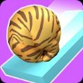 帮帮小猫手游