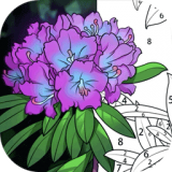 数字填色画画世界手游