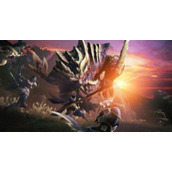 《怪物猎人崛起》集会任务单人挑战详细介绍