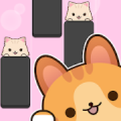 猫咪弹钢琴手游