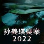 孙美琪疑案手游