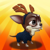 PetCareRun手游