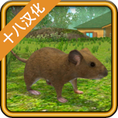 老鼠模拟器下载最新版