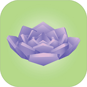 电子盆栽下载安装