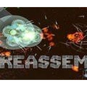 重组reassembly游戏最新版
