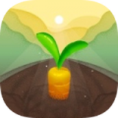 小心种植游戏最新版