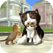 猫狗拆家派对下载手机版