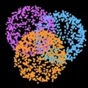 烟火的季节最新版