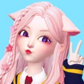 星偶安装包