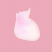 生命人体模拟器下载手机版