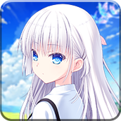 夏日口袋安装包