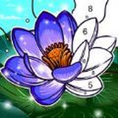 按数字填色快乐书手游