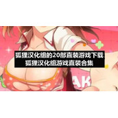 狐狸汉化组的20部直装游戏下载-狐狸汉化组游戏直装合集